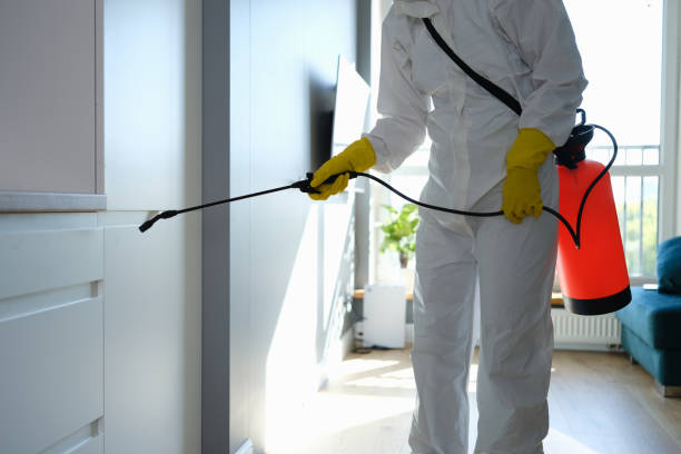 Why You Should Choose Our Mold Remediation Services in Homer City, PA